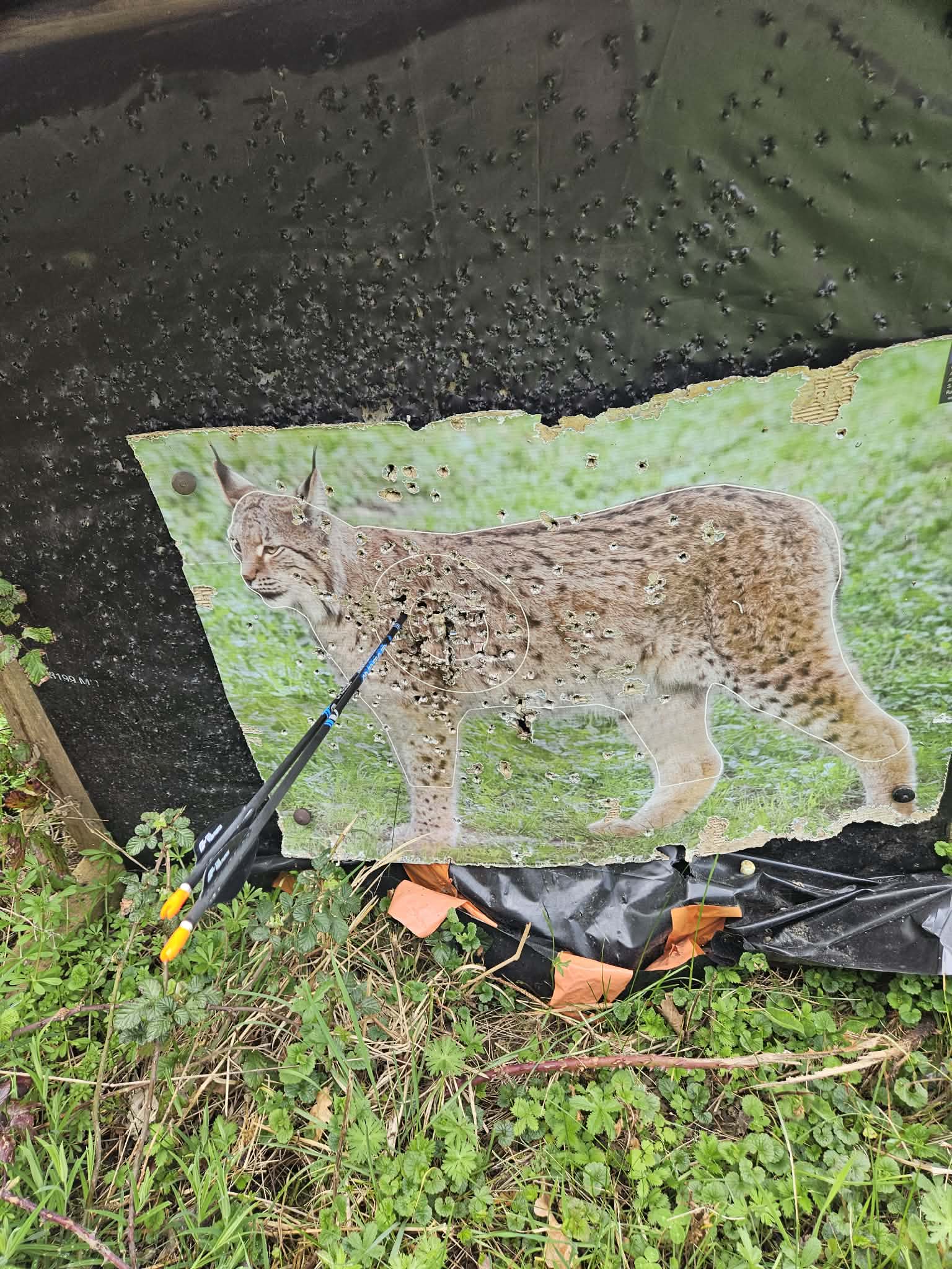 Image 109